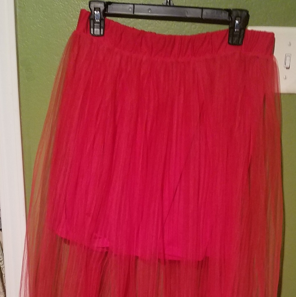 **d**H&M Tulle Skirt
